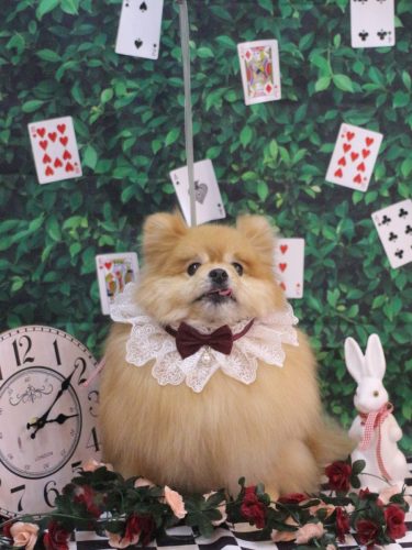 20250427梛都ちゃん